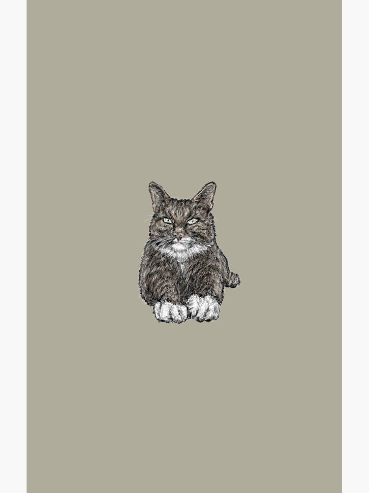 Tabby Cat by SlideRulesYou