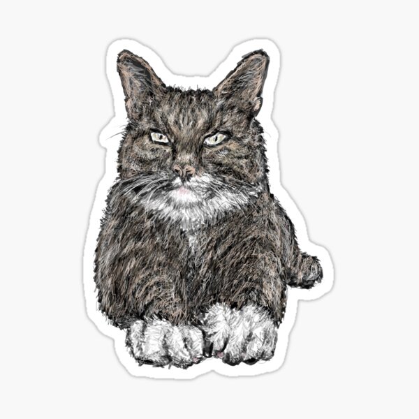 Tabby Cat Sticker