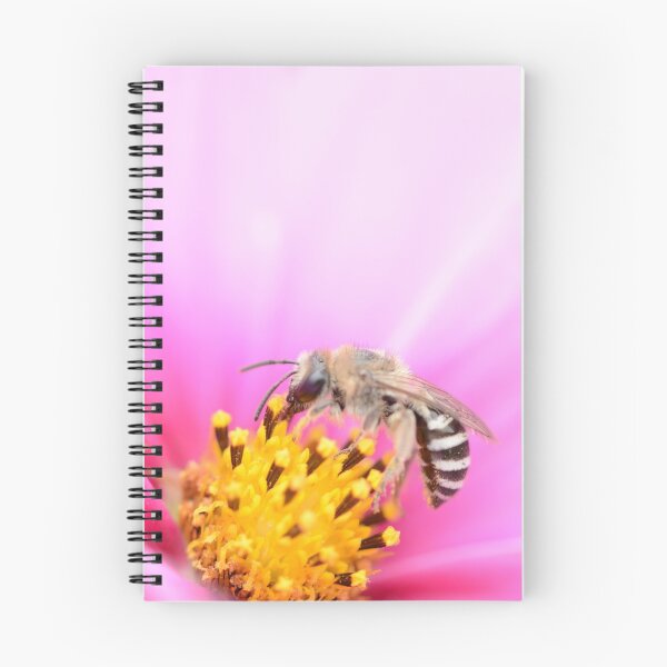 Item preview, Colletes designed and sold by AnnoraBee.