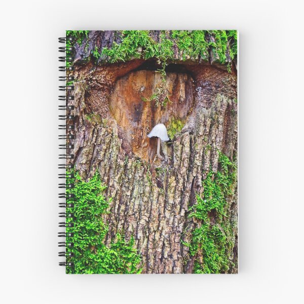 Item preview, Squatter Of Tree Hollow designed and sold by Elzbieta Fazel.