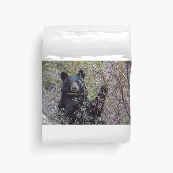 Item preview, Black Bear Dining on Flora, No. 1 designed and sold by Belinda Greb Photography.