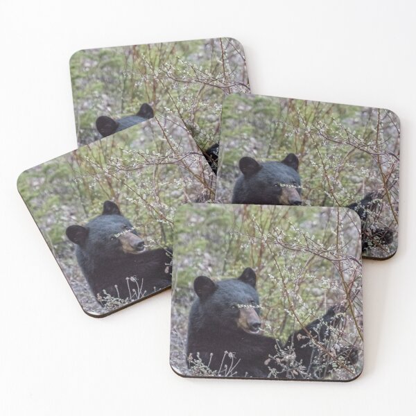 Item preview, Black Bear Dining on Flora, No. 2 designed and sold by Belinda Greb Photography.