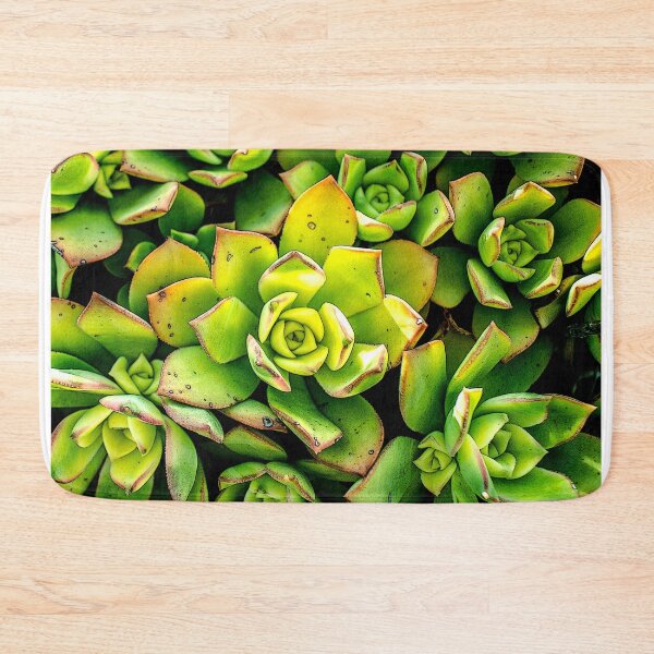 Item preview, Sedum designed and sold by Susan Werby.