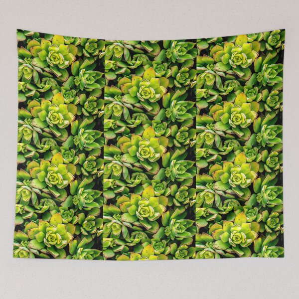 Item preview, Sedum designed and sold by Susan Werby.