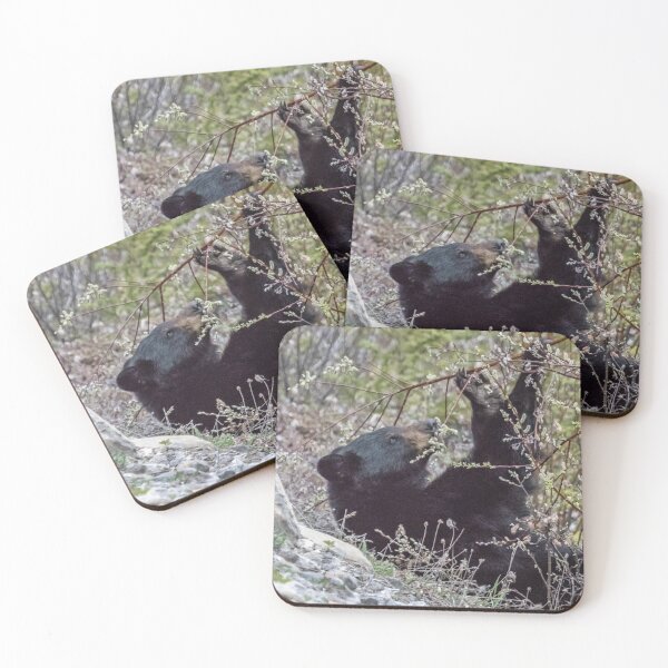 Item preview, Black Bear Relaxing While Eating Flora designed and sold by Belinda Greb Photography.
