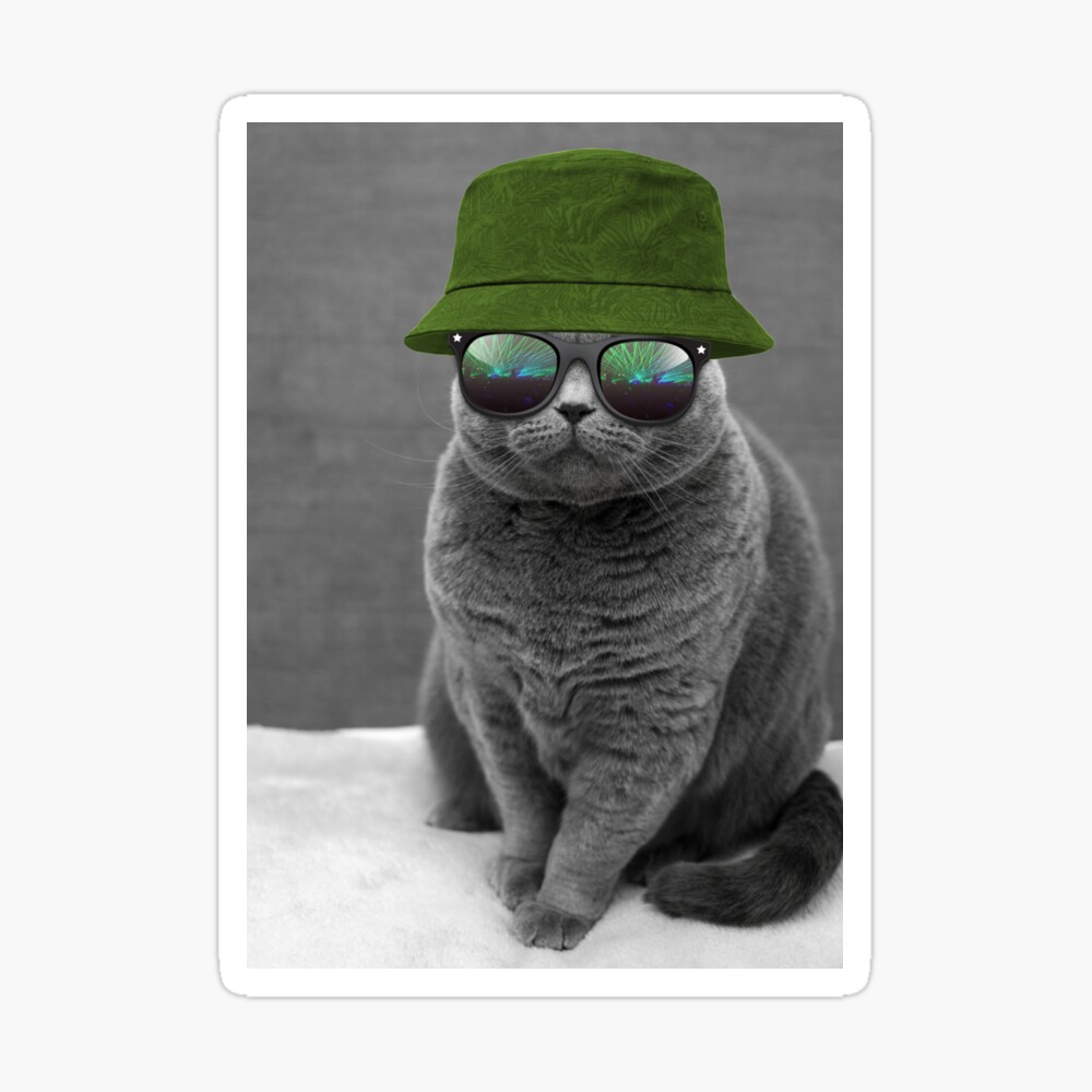 Rave dj EDM Techno cat with bucket hat 