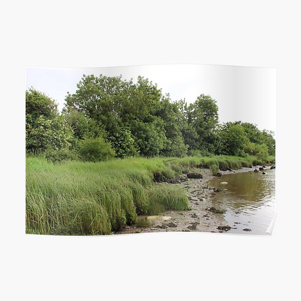 River Foyle 1 Poster