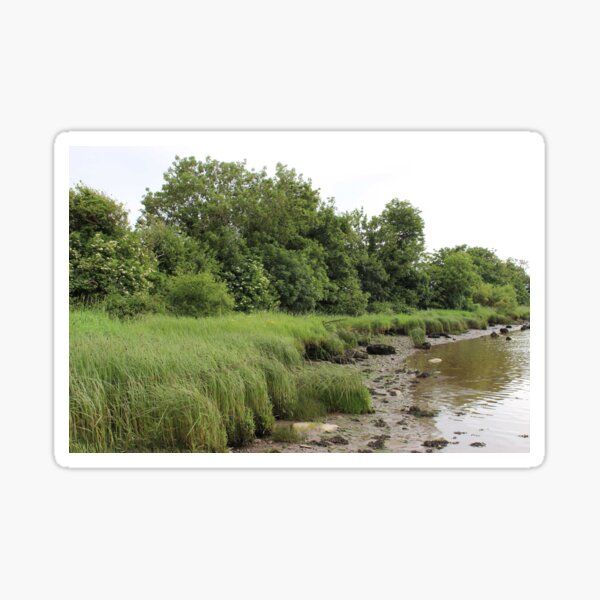 River Foyle 1 Sticker