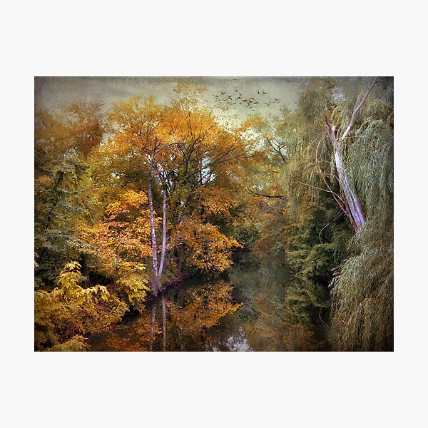 Item preview, Autumn River View designed and sold by Jessica Jenney.