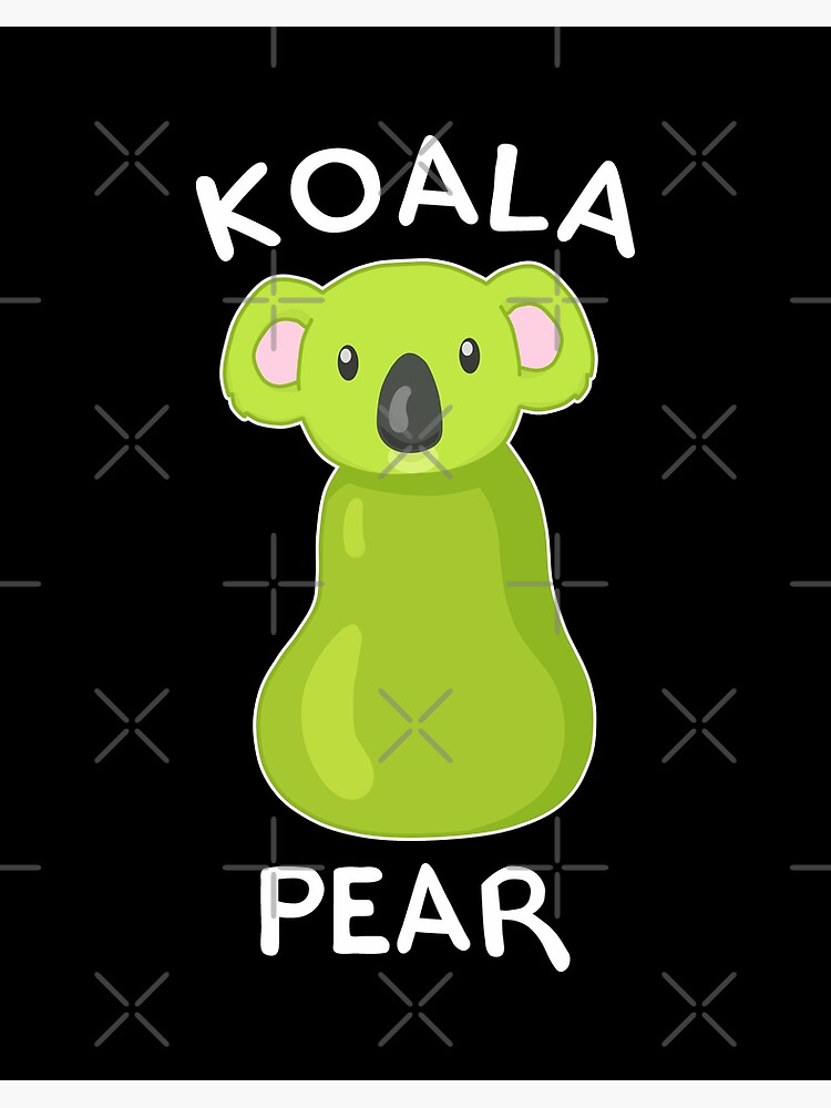 Koala Bear Gift