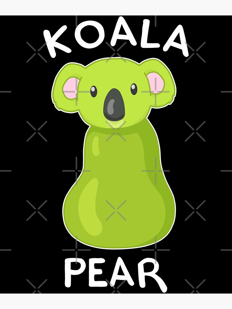 Koala Number Order Clip Cards