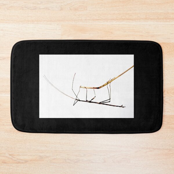 Item preview, Walking Stick Insect designed and sold by Laurie Minor.