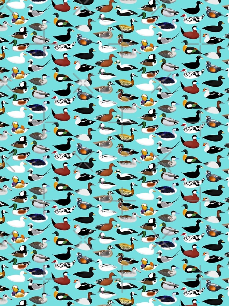 Duck Duck by Mattfields