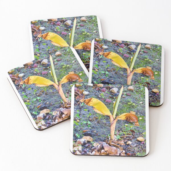Item preview, Sprouting up designed and sold by MChabalaRussell.