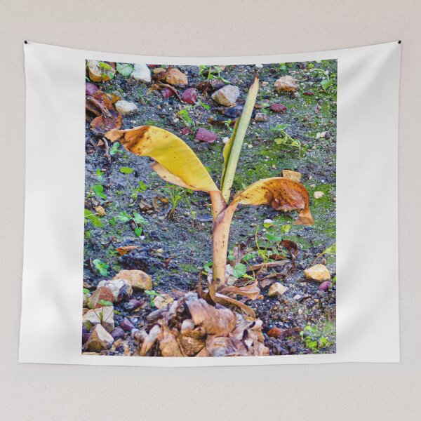 Item preview, Sprouting up designed and sold by MChabalaRussell.