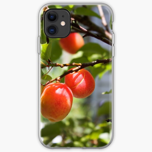 Summer Fruit iPhone Soft Case