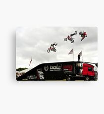 High flyers Canvas Print