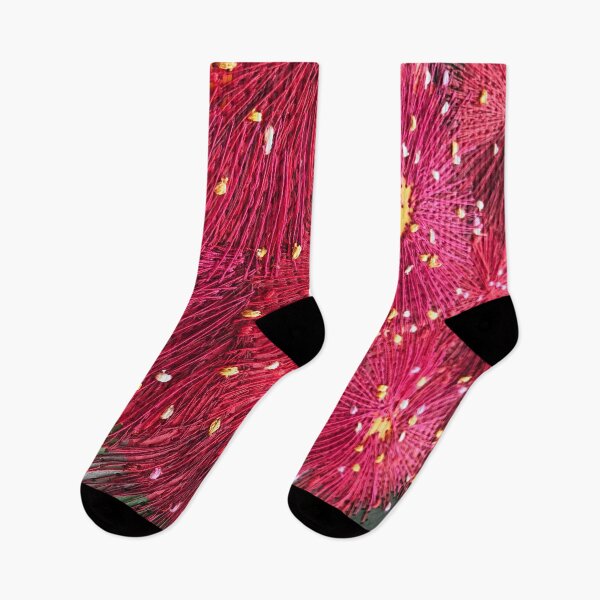 Item preview, Burgandy Native Bush Flowers by Australian Artist Leah Gay designed and sold by leahgordonartist.