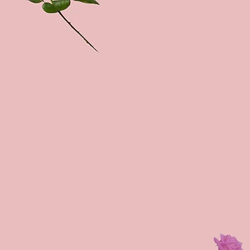Artwork thumbnail, Two Roses. Pink background by MindTravel