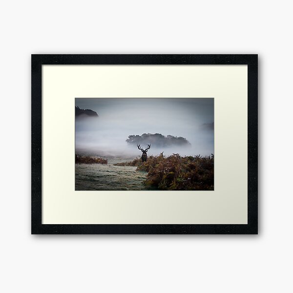 Surveying his Kingdom Framed Art Print