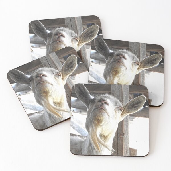 Item preview, funny smilling goat face, goat beard designed and sold by Stephanie  Skeem.