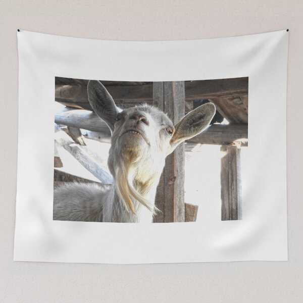 Item preview, funny smilling goat face, goat beard designed and sold by Stephanie  Skeem.