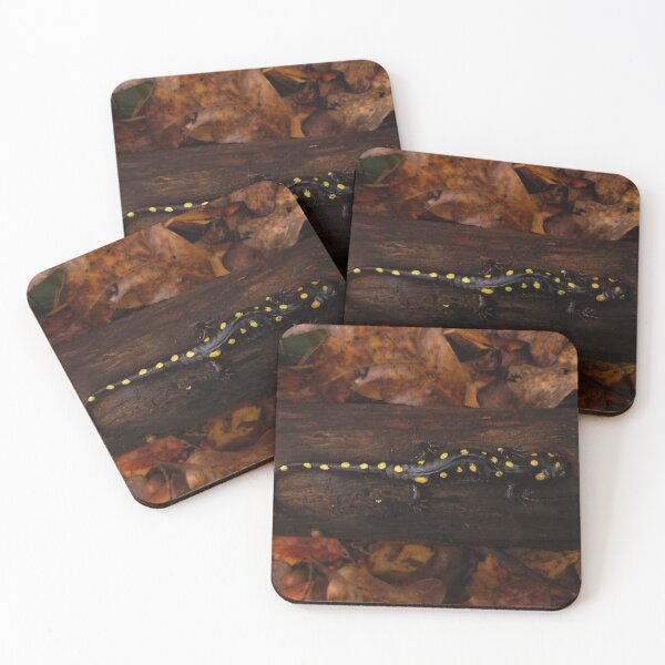 Item preview, Spotted Salamander designed and sold by Rebecca Watling.