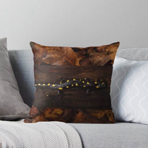 Item preview, Spotted Salamander designed and sold by Rebecca Watling.
