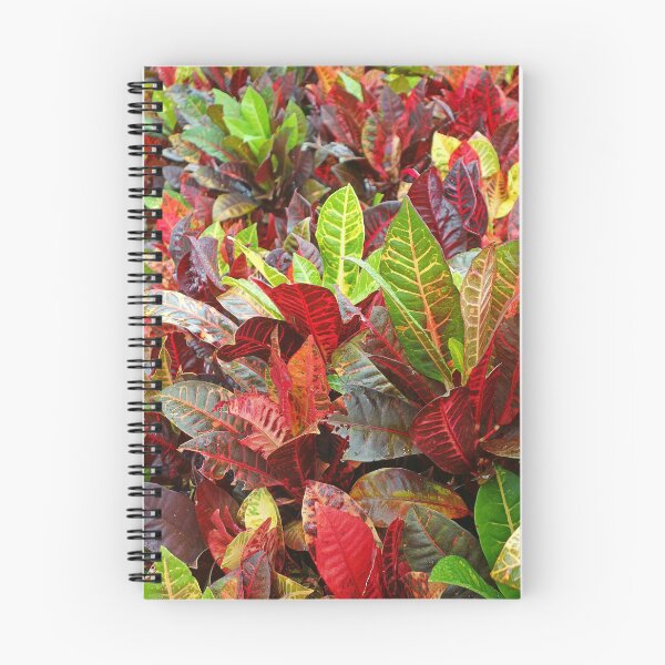 Item preview, Tropical Plantation Maui Study 19  designed and sold by Robert Meyers-Lussier.