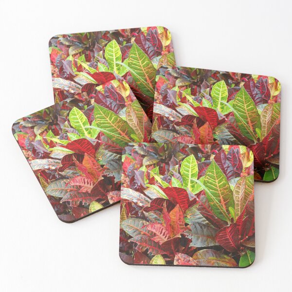 Item preview, Tropical Plantation Maui Study 19  designed and sold by Robert Meyers-Lussier.