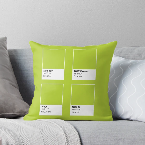 ur,throw_pillow_couch_small,