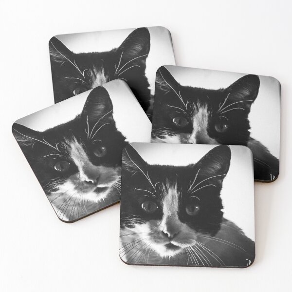 Item preview, A lion of a cat.. designed and sold by photobyjr.