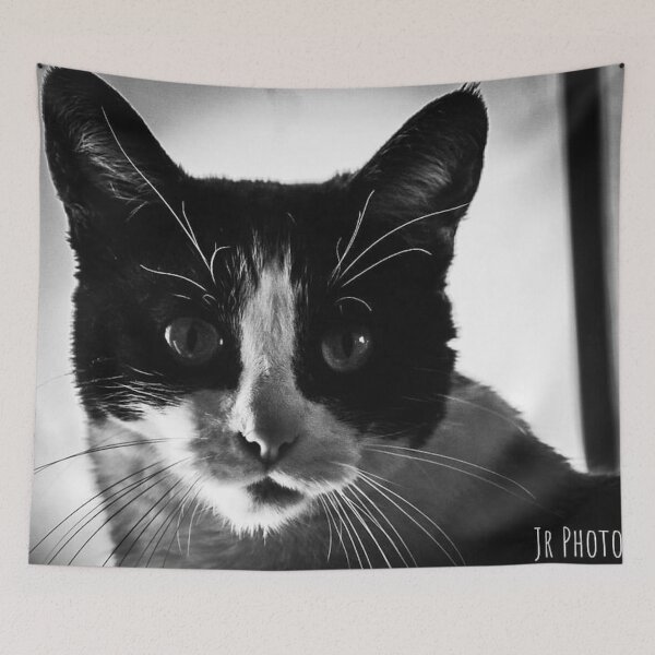 Item preview, A lion of a cat.. designed and sold by photobyjr.