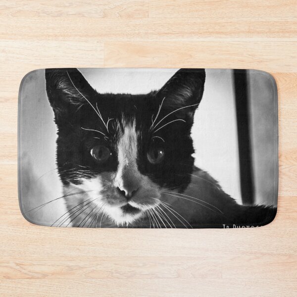 Item preview, A lion of a cat.. designed and sold by photobyjr.