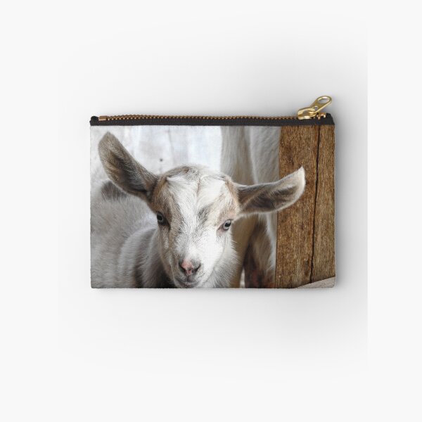 Item preview, Cute baby goat designed and sold by Stephanie  Skeem.