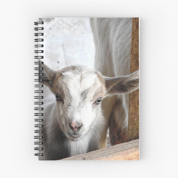 Item preview, Cute baby goat designed and sold by Stephanie  Skeem.