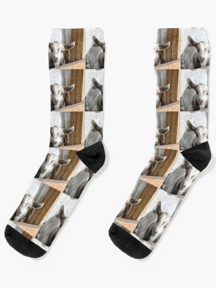 baby goat socks