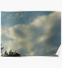 3D Poster