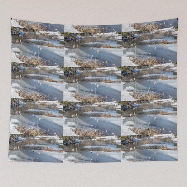 Item preview, Last Days of Winter designed and sold by Jola Martysz.