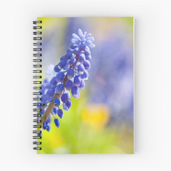 Item preview, One blue Muscari Mill flower  designed and sold by Arletta Cwalina.