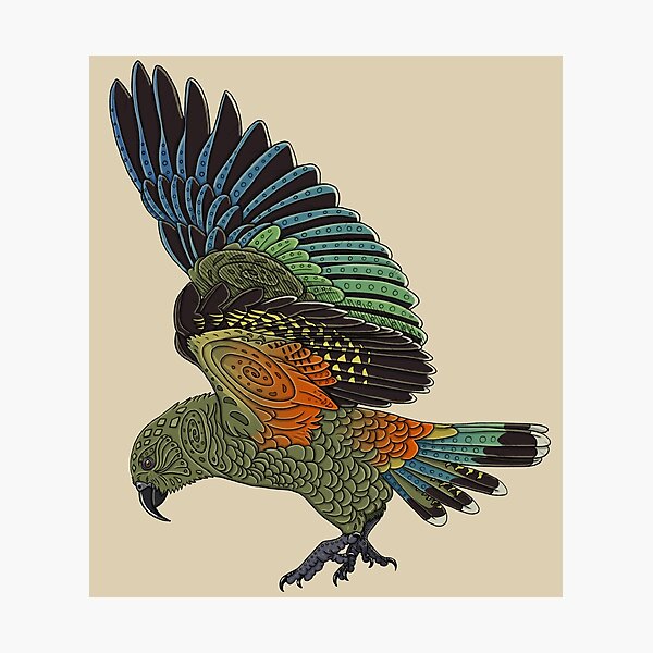 Item preview, Kea designed and sold by Corvola Creations.