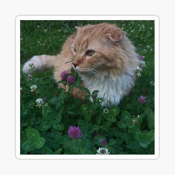 Item preview, Flower and Clovers designed and sold by TheFatCatFlower.