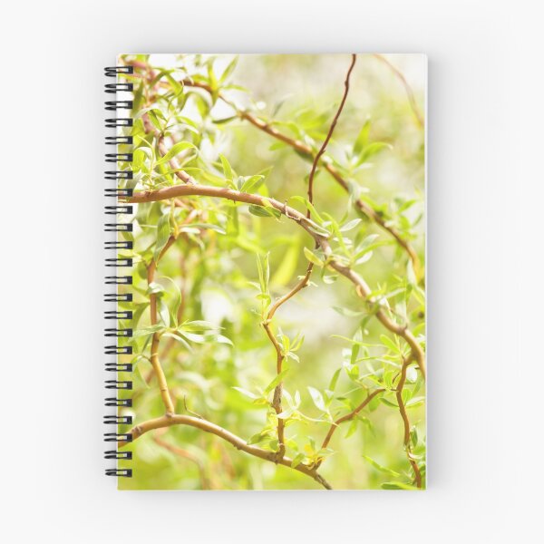 Item preview, Willow Salix Alba tree detail designed and sold by Arletta Cwalina.