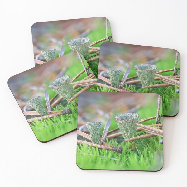Item preview, Macro World 7 designed and sold by Veikko  Suikkanen.