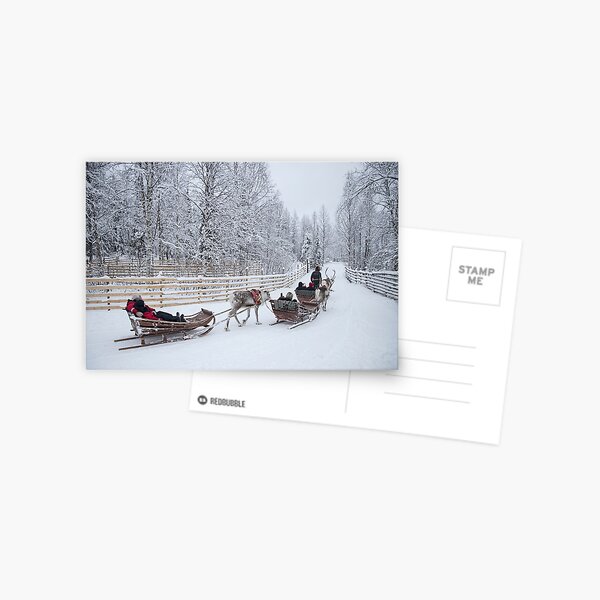 Dashing Through the Snow Postcard