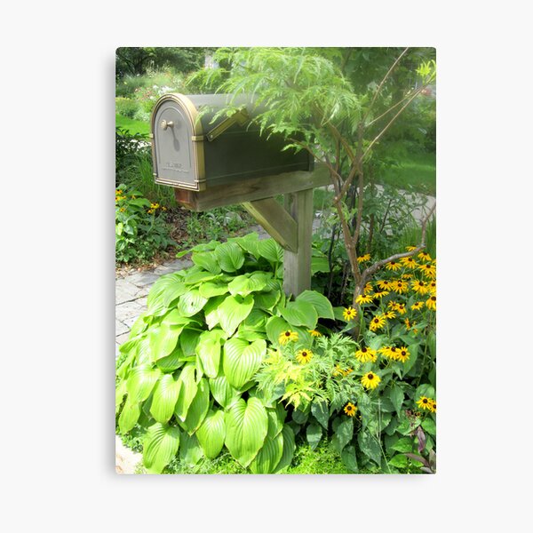 The Blooming Mail Canvas Print