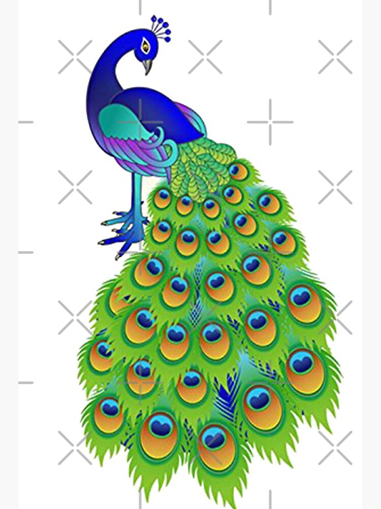 Beautiful Peacock Drawing by Tia Sachdeva - Pixels