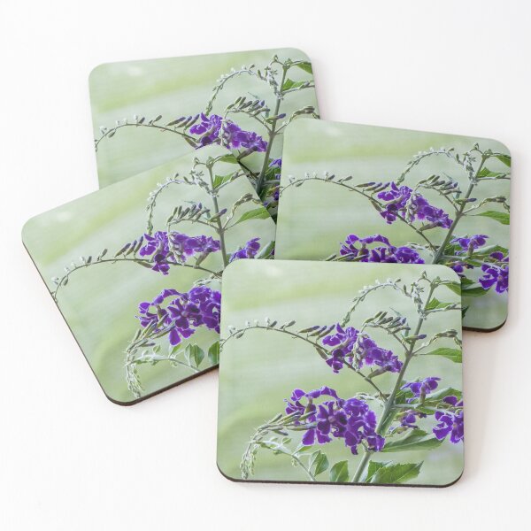 Item preview, Golden dewdrop (Duranta erecta) designed and sold by DPalmer.