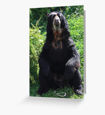 Spectacled Bear Grußkarte