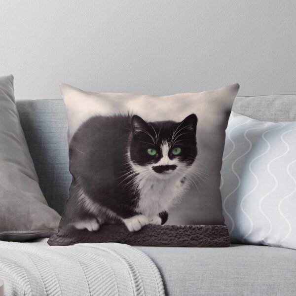 Item preview, Molly the Cat designed and sold by SKEUMER.